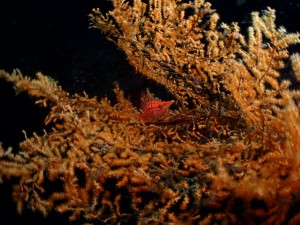 P5010073