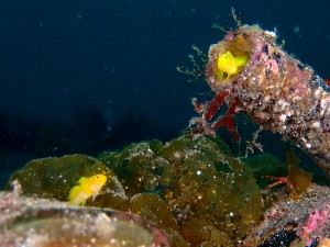 P5020033
