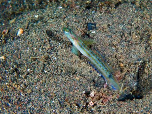 P5020066