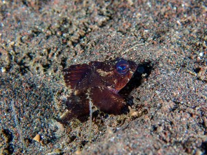 P5020096