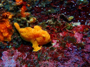P5030052