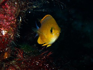 P5240198