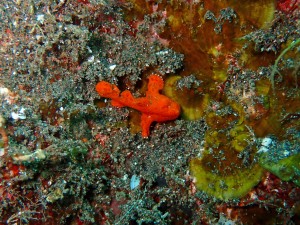 P5250249