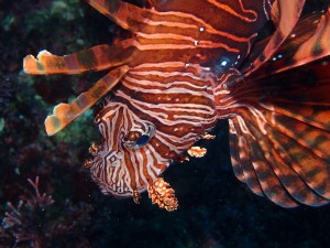 P5310029