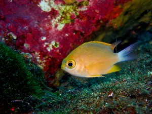 P5310215
