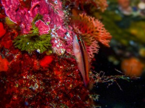 P5310315