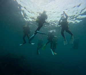 S__306847746_0