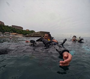 S__306847759_0