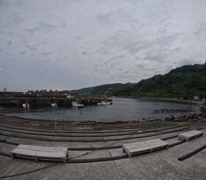 S__306847765_0