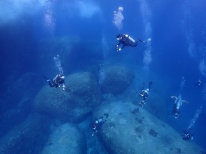 LINE_ALBUM_2024 Similan編_250108_120