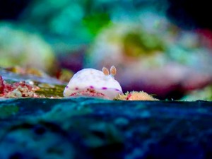 LINE_ALBUM_ミユ_250513_11