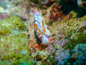 LINE_ALBUM_ミユ_250513_9