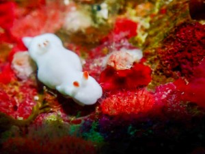LINE_ALBUM_ミユ_250513_23