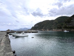 line_oa_chat_250509_192702