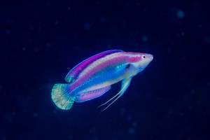 DSC00488