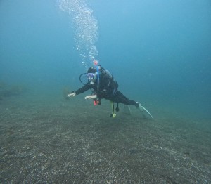 DCIM101GOPROGOPR0117.JPG