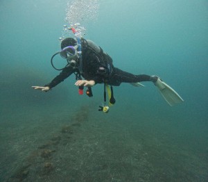 DCIM101GOPROGOPR0120.JPG