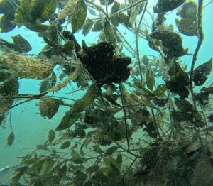 DCIM101GOPROGOPR0159.JPG