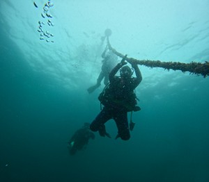GOPR0174