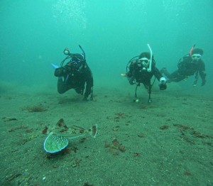 DCIM101GOPROGOPR0223.JPG