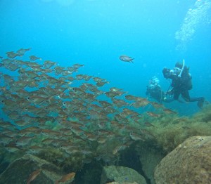DCIM101GOPROGOPR0226.JPG