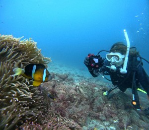 DCIM101GOPROGOPR0262.JPG