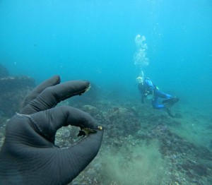DCIM100GOPROGOPR0275.JPG