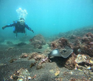 DCIM100GOPROGOPR0278.JPG