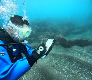 DCIM100GOPROGOPR0290.JPG