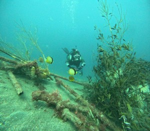 DCIM100GOPROGOPR0307.JPG