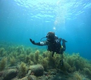 DCIM100GOPROGOPR0348.JPG