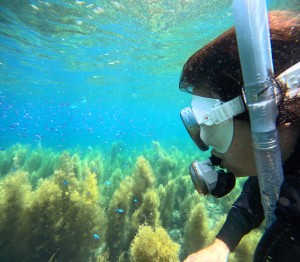 DCIM100GOPROGOPR0358.JPG