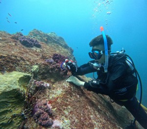 DCIM100GOPROGOPR0373.JPG