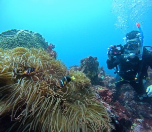 DCIM100GOPROGOPR0376.JPG