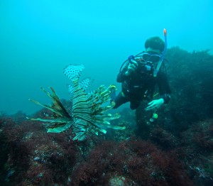 DCIM100GOPROGOPR0403.JPG