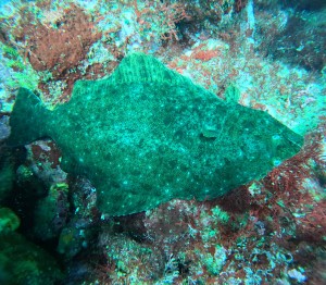 DCIM100GOPROGOPR0405.JPG