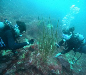 DCIM100GOPROGOPR0420.JPG