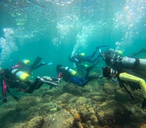 GOPR0443