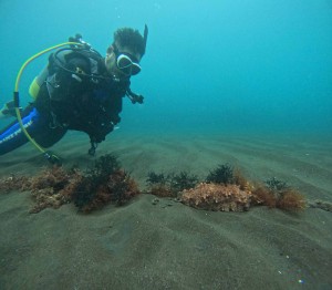 DCIM100GOPROGOPR0480.JPG