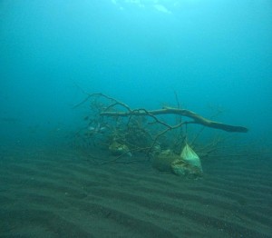 DCIM100GOPROGOPR0484.JPG
