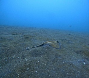 DCIM100GOPROGOPR0497.JPG