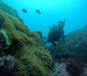 DCIM100GOPROGOPR0527.JPG