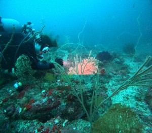 DCIM100GOPROGOPR0545.JPG