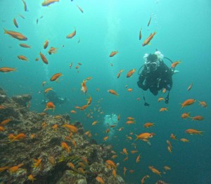 DCIM100GOPROGOPR0556.JPG