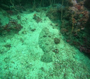 DCIM100GOPROGOPR0573.JPG