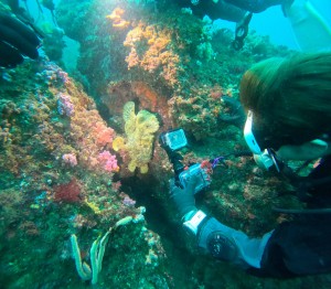 DCIM100GOPROGOPR0578.JPG