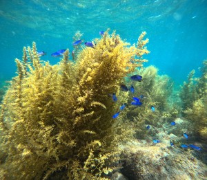 DCIM100GOPROGOPR0607.JPG