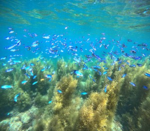 DCIM100GOPROGOPR0615.JPG