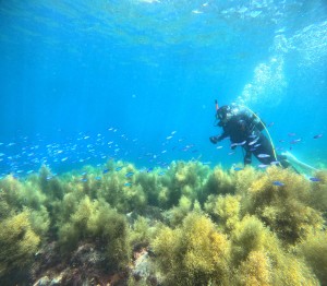 DCIM100GOPROGOPR0624.JPG