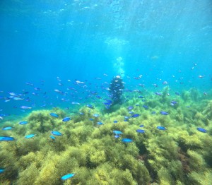 DCIM100GOPROGOPR0627.JPG